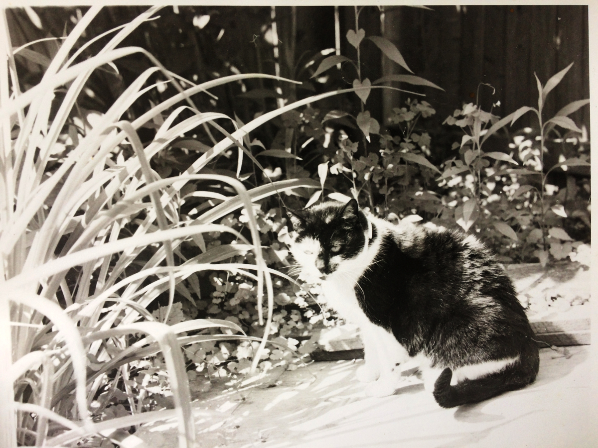 Elizabeth in the garden, Glen Road, Oella, 1989