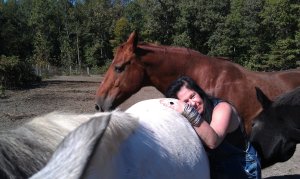 Tank, chestnut Tennessee Walker